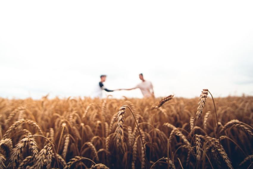 China-New Zealand Agricultural Cooperation Deepens at Fieldays 2026