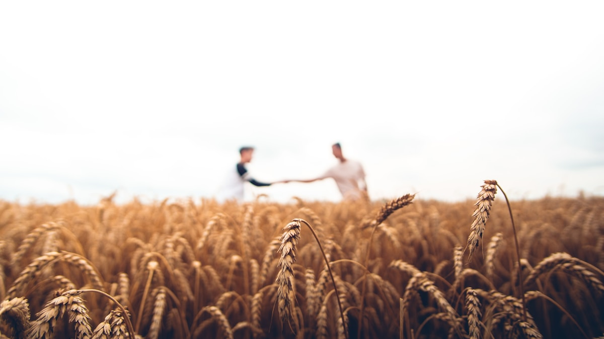 High-value agricultural exports from China