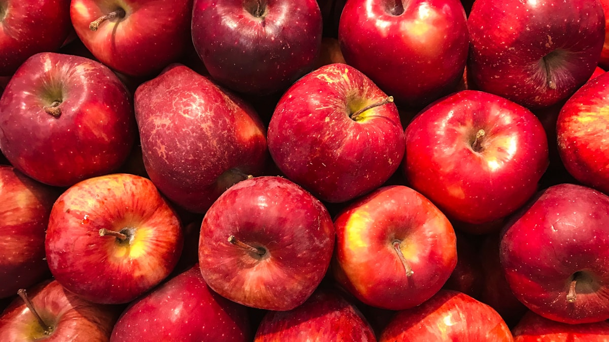Belgian apples being prepared for export to China
