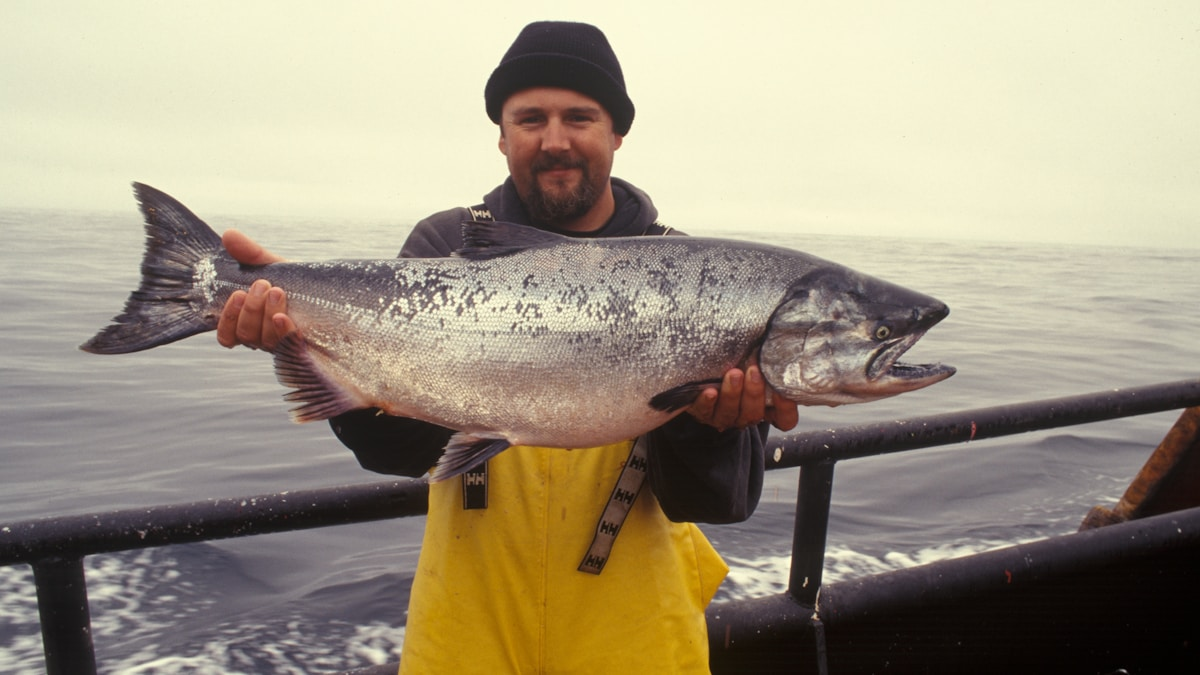 Norwegian salmon fish farm in pristine fjord waters
