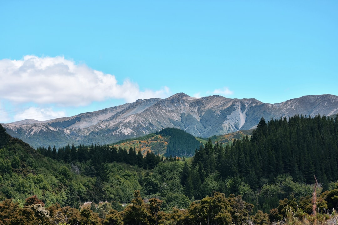 New Zealand: A Major Global Wood Exporter with High Per Capita Use and Rural Wooden Houses 2 新西兰是世界主要木材出口国,人均木材使用量居世界前列,绝大部分农村居民建造木屋居住。读下图,完成下面小题。(1)新西兰出口木材的主要种类为( ) A.热带雨林 B_百度教育