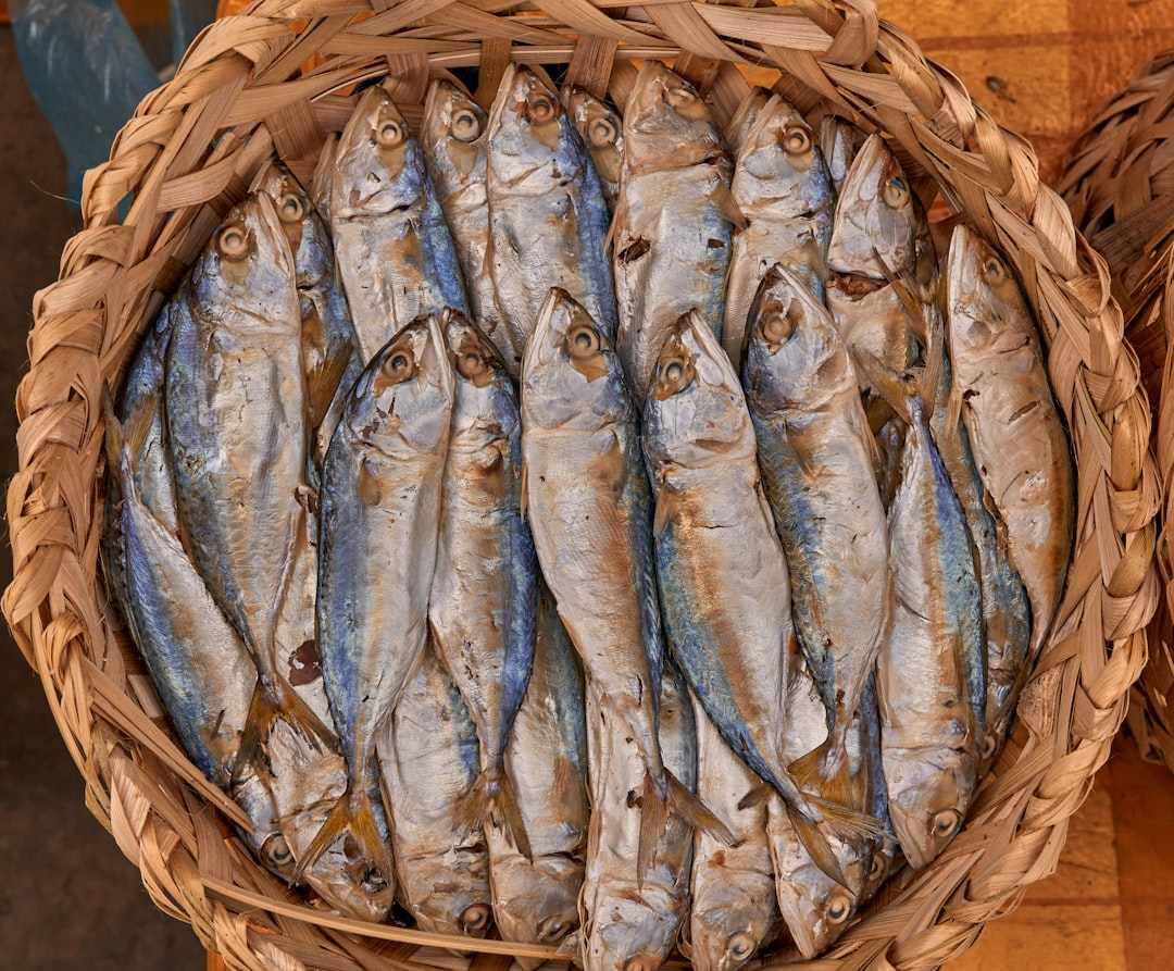 Regal, Olé and Runkong Food Announce Strategic Cooperation, Launch Regal Chef’s Selection Series to Elevate Premium King Salmon Consumption in China 2 Regal、Olé 与润控食品宣布战略合作,启动「Regal 主厨臻选系列活动」 共同推动中国高端帝王鲑消费体验升级